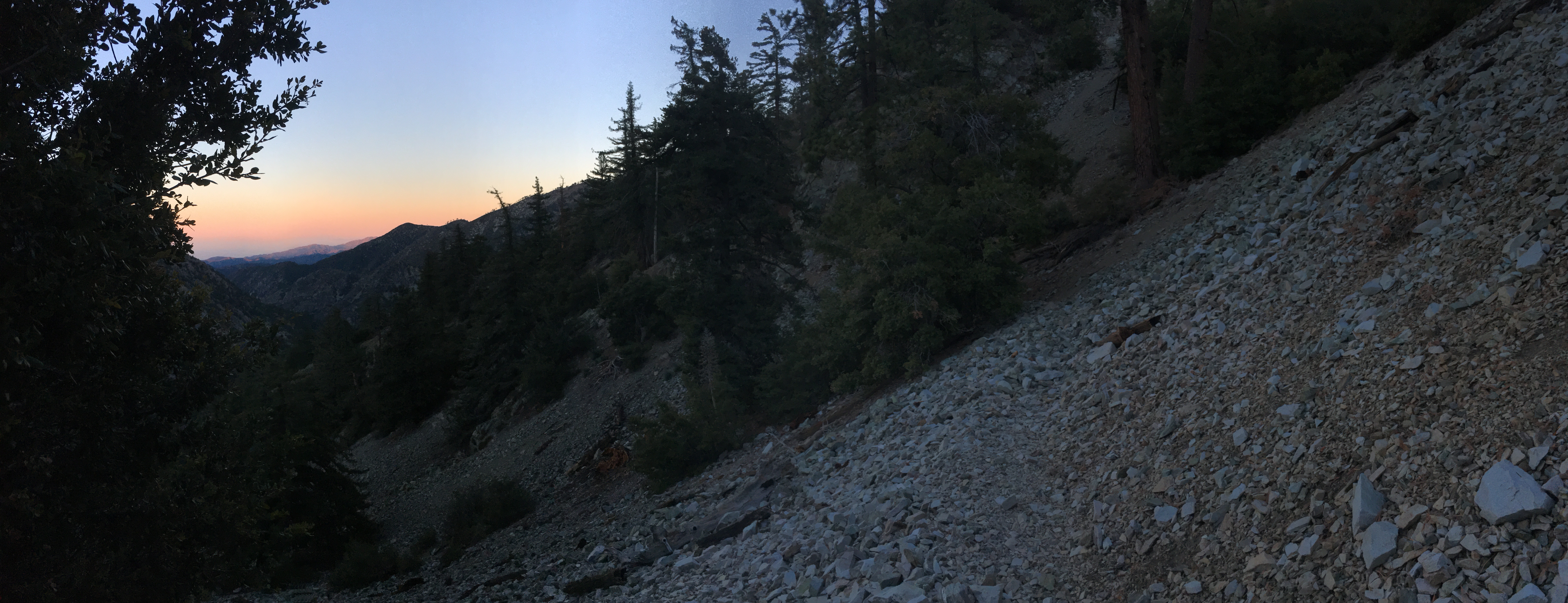 early morning in cucamonga wilderness, pink and blue sky with pine trees and granite mountains